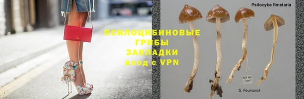 mix Белокуриха