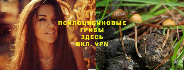 таблы Белоозёрский