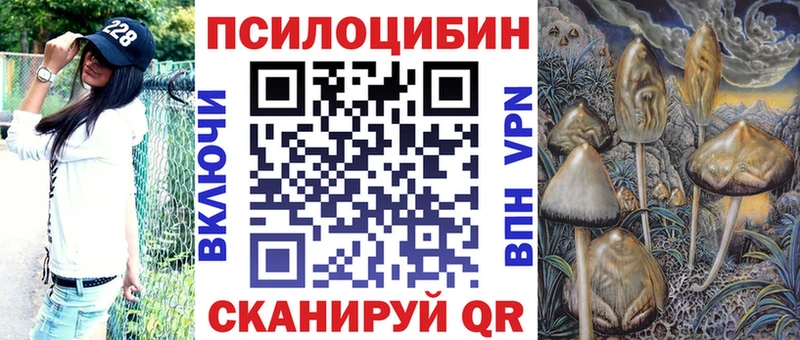 Псилоцибиновые грибы Psilocybe Короча